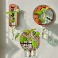 Moon Phase Plant Propagation Station – Wall Hanging Glass Tube Terrarium for Hydroponic Plants & Home Decor - Image 3