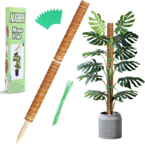 2-Pack Moss Poles for Monstera – 27-Inch Extendable Plant Support Stakes for Indoor Climbing Plants