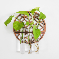 Moon Phase Plant Propagation Station – Wall Hanging Glass Tube Terrarium for Hydroponic Plants & Home Decor
