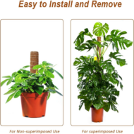 2-Pack Moss Poles for Monstera – 27-Inch Extendable Plant Support Stakes for Indoor Climbing Plants - Image 5