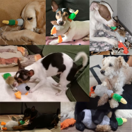 Cute Plush Duck Sound Pet Toys Stuffed Squeaky Animal Squeak Dog Toy Cleaning Tooth Dog Chew Rope Toys Pet Dog Accessories Toys - Image 7